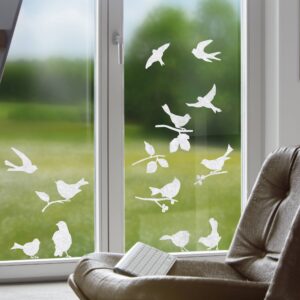 Gecko in the Box, Papageno